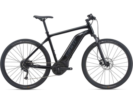 Giant Roam E+ Bike - Size Large (L) - 4 hour session