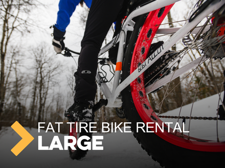 Fat Tire Mountain Bike - L