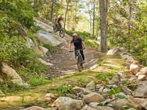 Adult Mountain Bike Season Pass 24