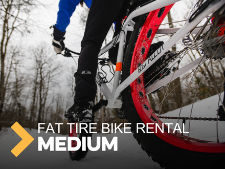 Fat Tire Mountain Bike - M