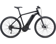 Giant Roam E+ Bike - Size Large (L) - 4 hour session