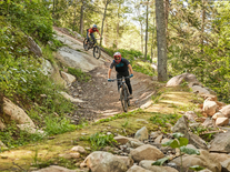 Adult Mountain Bike Season Pass 24-25