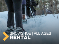 Rental Snow Shoe All Ages