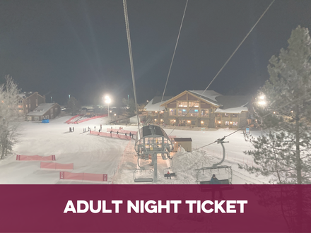 Adult 13+ Night Ticket