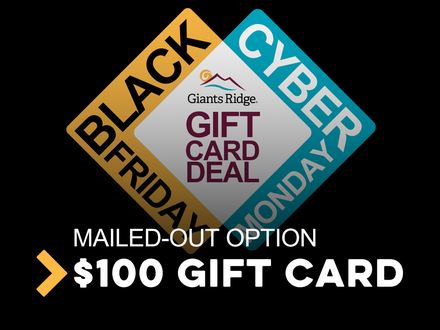 Black Friday $100 Ship To Home