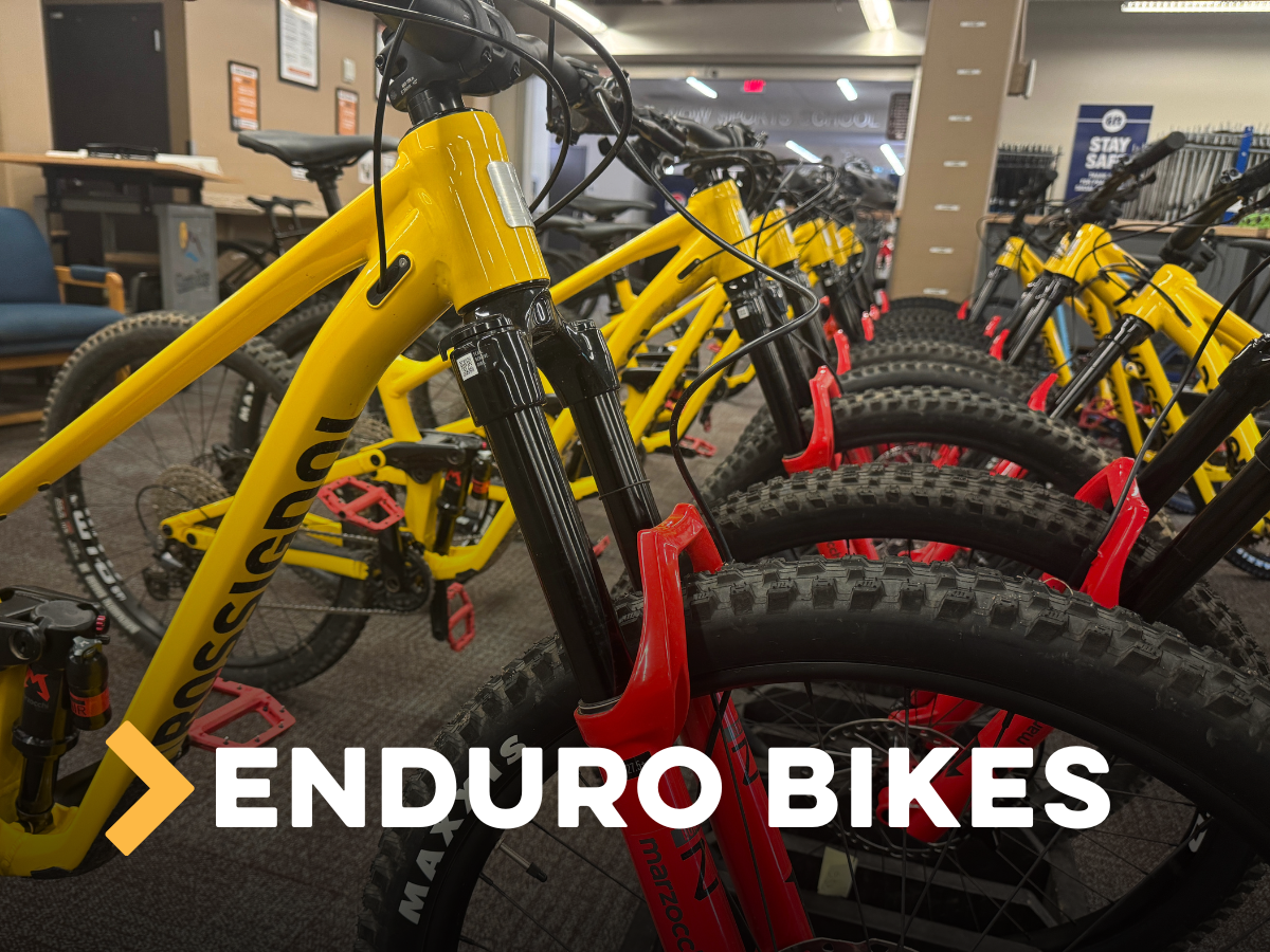 Enduro Mountain Bike Rentals