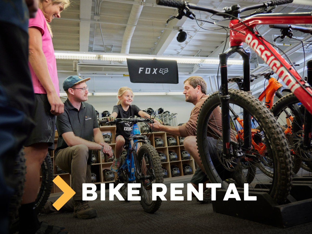 Bike Rentals